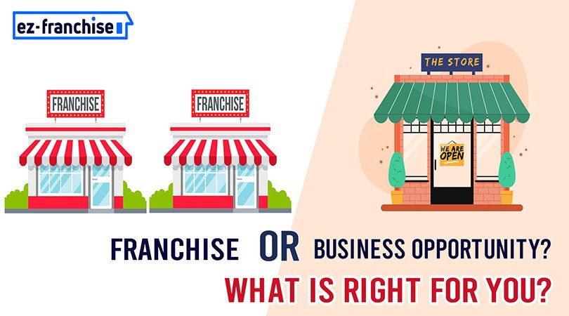 what is the right option: franchise or business opportunity