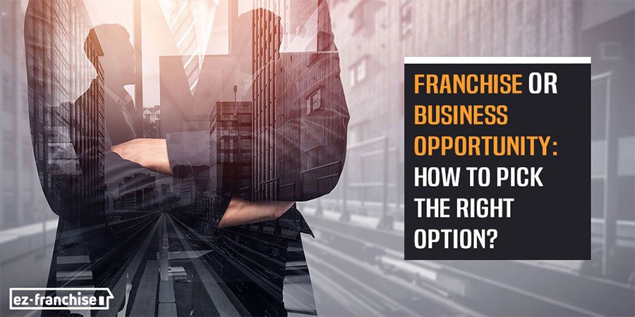 how to choose between franchise and business opportunity