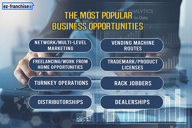 most popular business opportunities